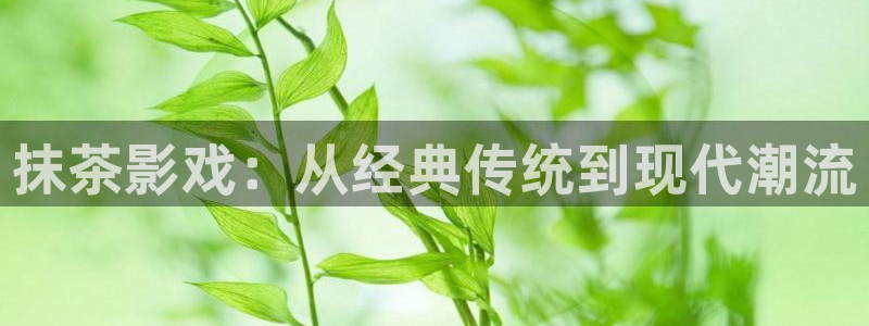 888影视网电视剧大全
