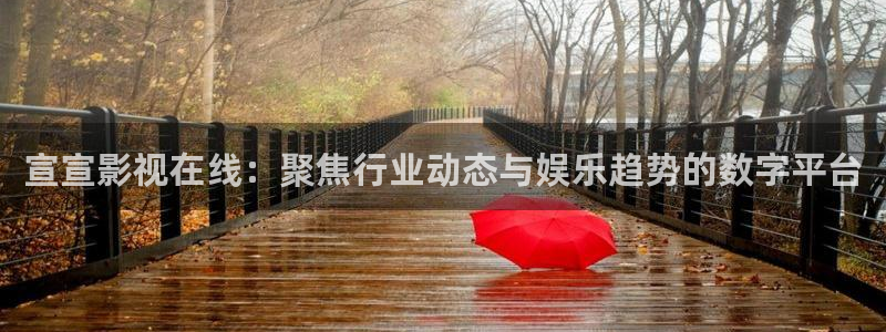 88影视网电视剧电视