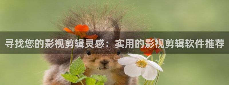 888影视网