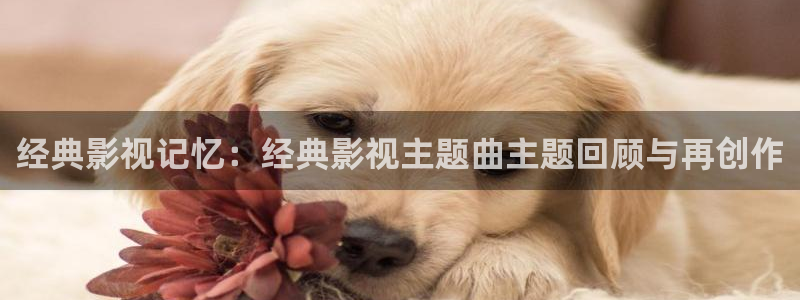 88影视网在线免费观看
