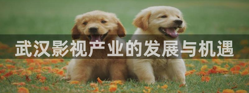 88影视最新版：武汉影视产业的发展与机遇